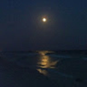 Meet your Posher, Bridgett